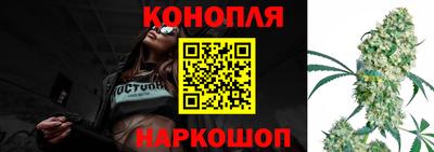 эйфоретик Гай