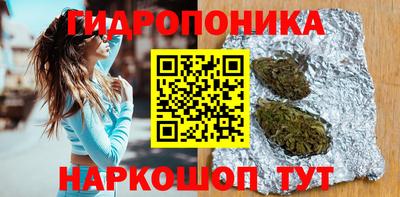 эйфоретик Гай