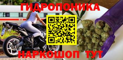 MDMA Premium VHQ Гатчина