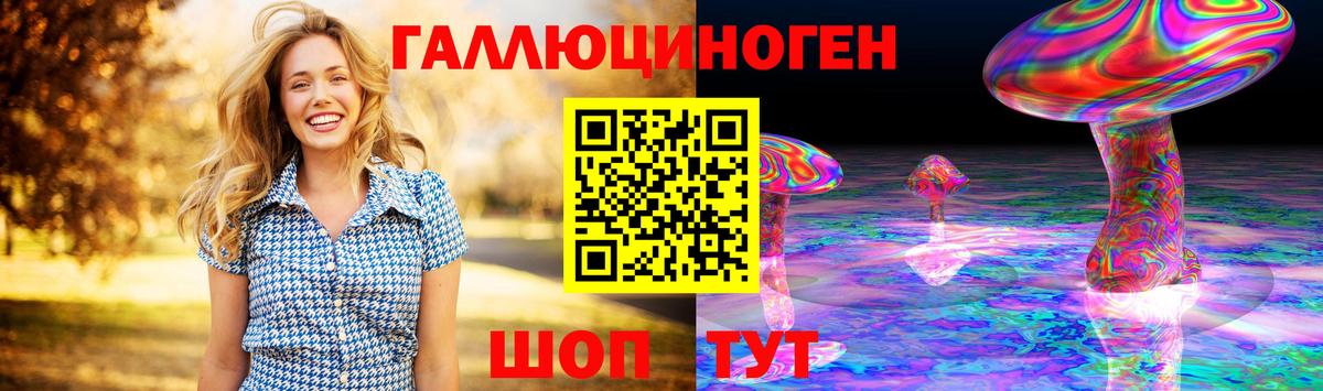 Горячий Ключ  Псилоцибиновые грибы Psilocybine cubensis  Вход с VPN 